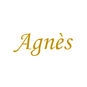 agencia-de-gestion-de-redes-sociales-barcelona-logoagnes